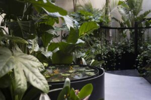 Greencure landscaping - Palazzo MC - Foto di Giuseppe Manzi
